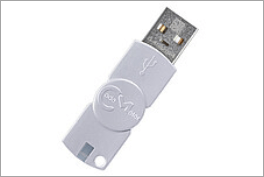 FlexDongle aus Plastik
