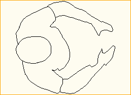 Person 1