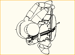 Cellist