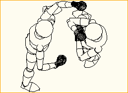 Boxer im Ring