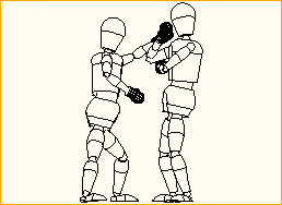 Boxer im Ring