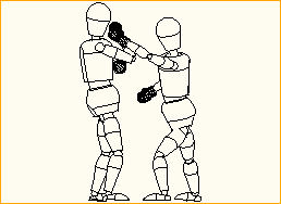 Boxer im Ring