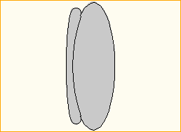 Sofa CIRCLE II