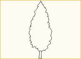 Baum 3,0m