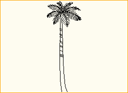 Palme 1