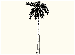 Palme 2