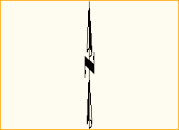 Windrose Design 23