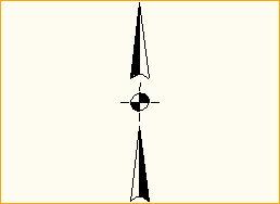 Windrose Design 26
