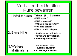 Verhalten bei Unfällen - standard