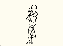 Boxer 2