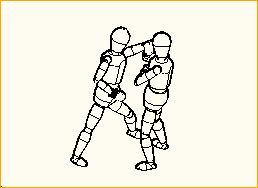 Boxer im Ring