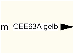 CEE63A gelb