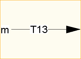 T13