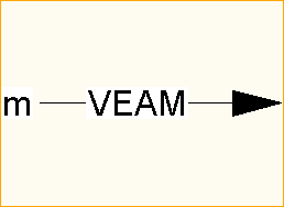 VEAM